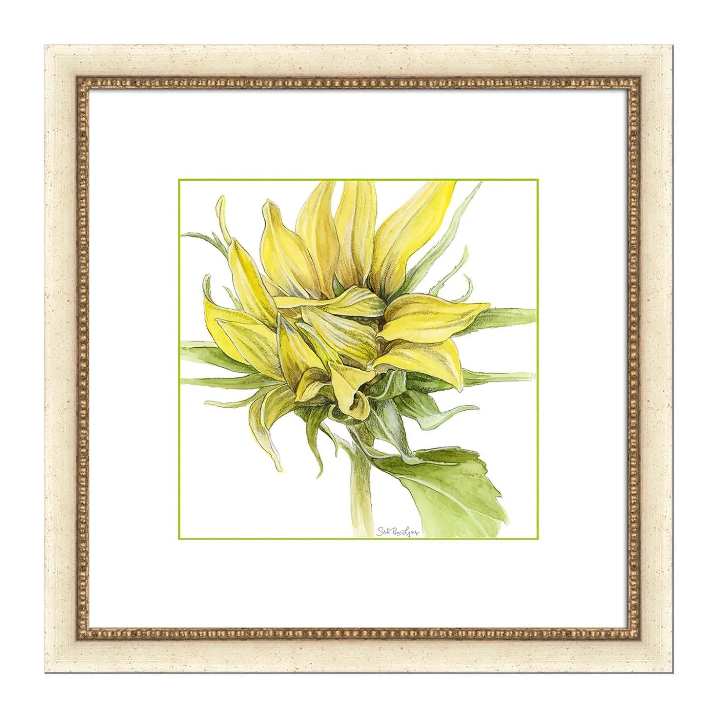 Wall Art>Plow & Hearth Awakening Sunflower Framed Wall Art Painting