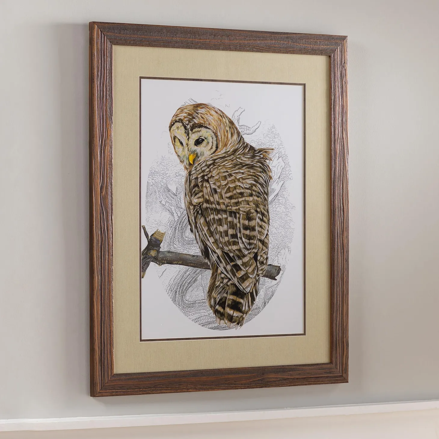 Wall Art>Plow & Hearth Barred Owl II Framed Wall Art Painting