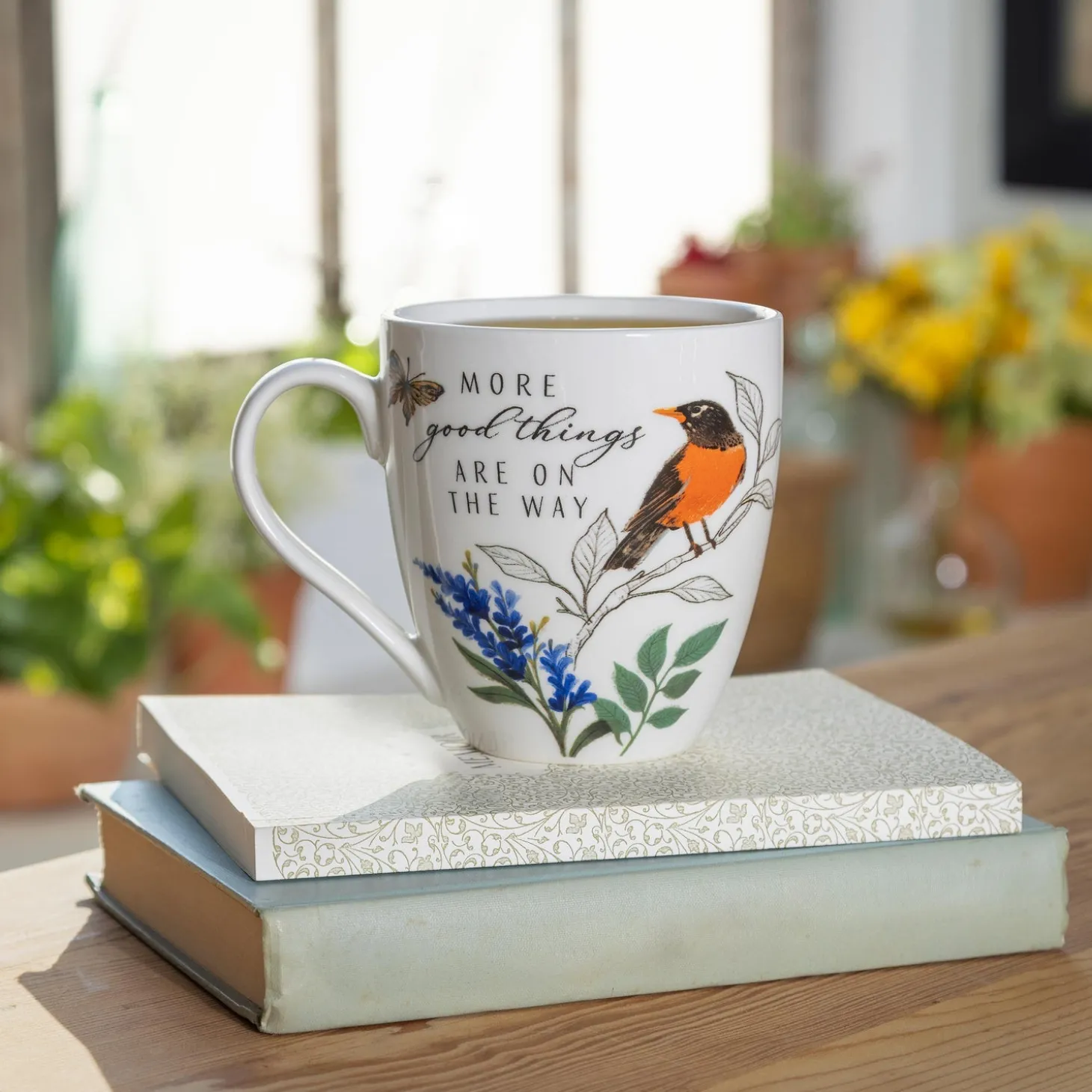 Coffee & Tea Cups>Plow & Hearth Bird Greenhouse Retreat Robin Ceramic Cup O' Java, 17oz, Gift Box