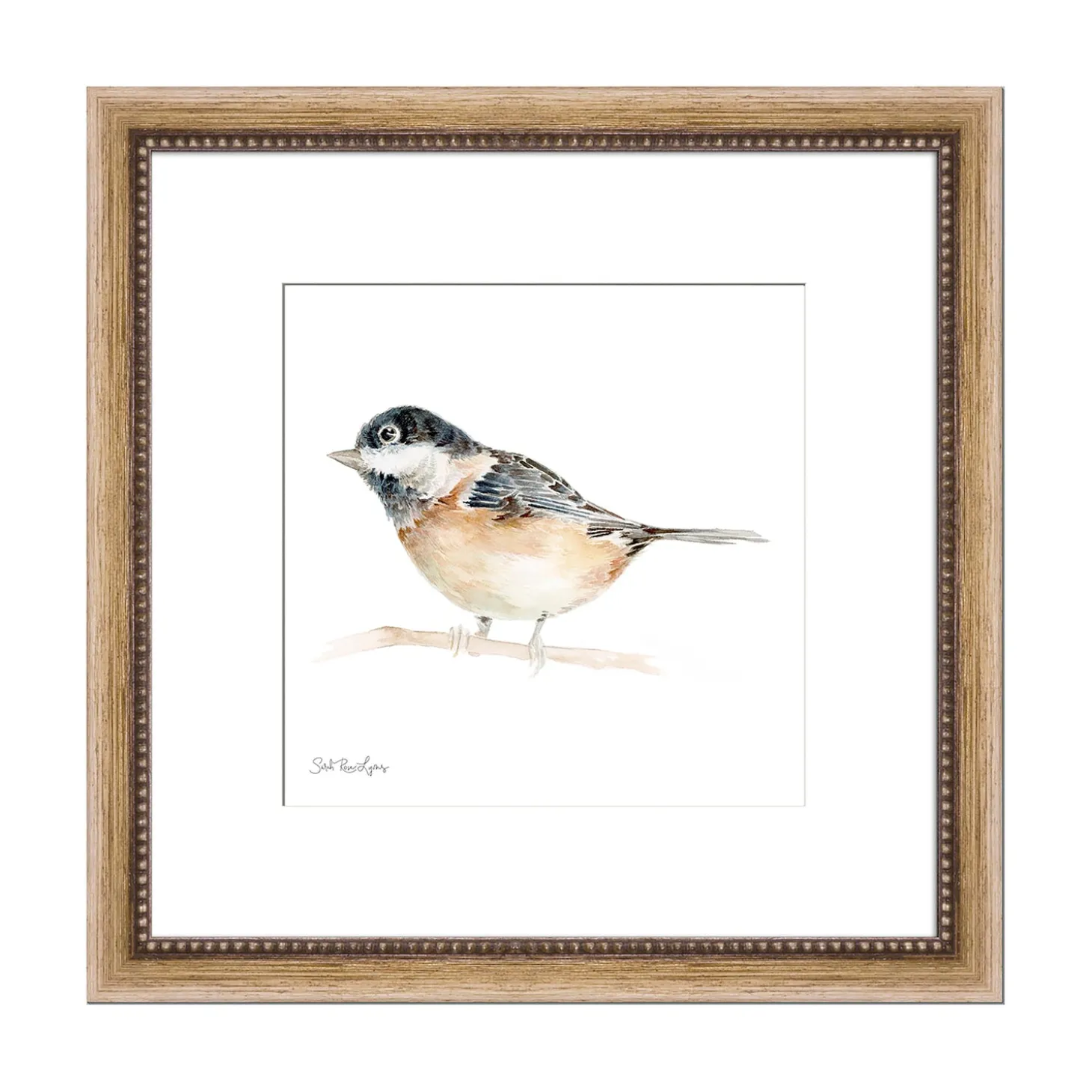 Wall Art>Plow & Hearth Black-Capped Chickadee Framed Wall Art Painting