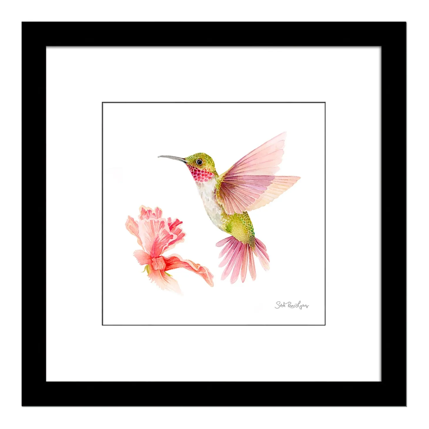 Wall Art>Plow & Hearth Broad Tailed Hummingbird Framed Wall Art Painting