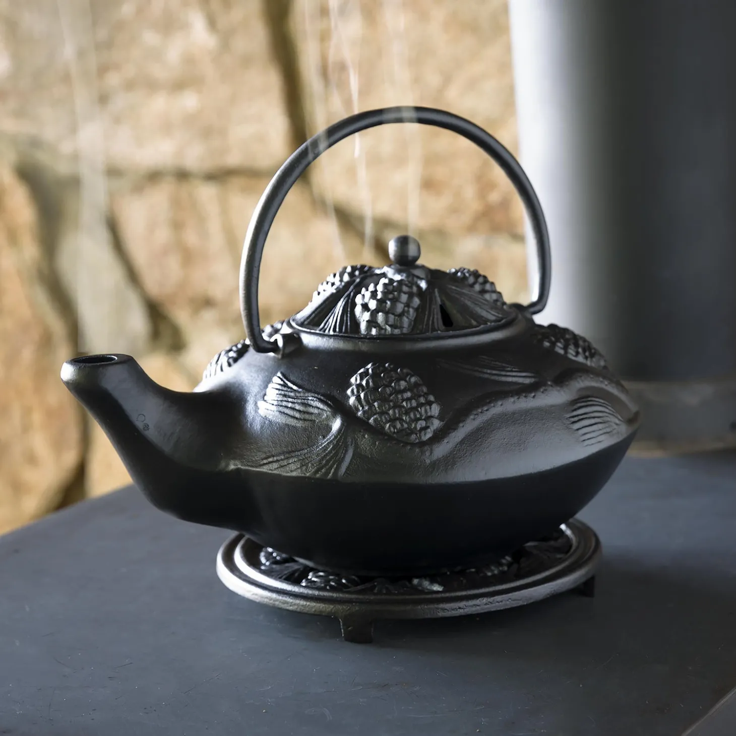 Woodstove Steamers>Plow & Hearth Cast Iron Wood Stove Kettle Steamer with Pine Cone Design Black