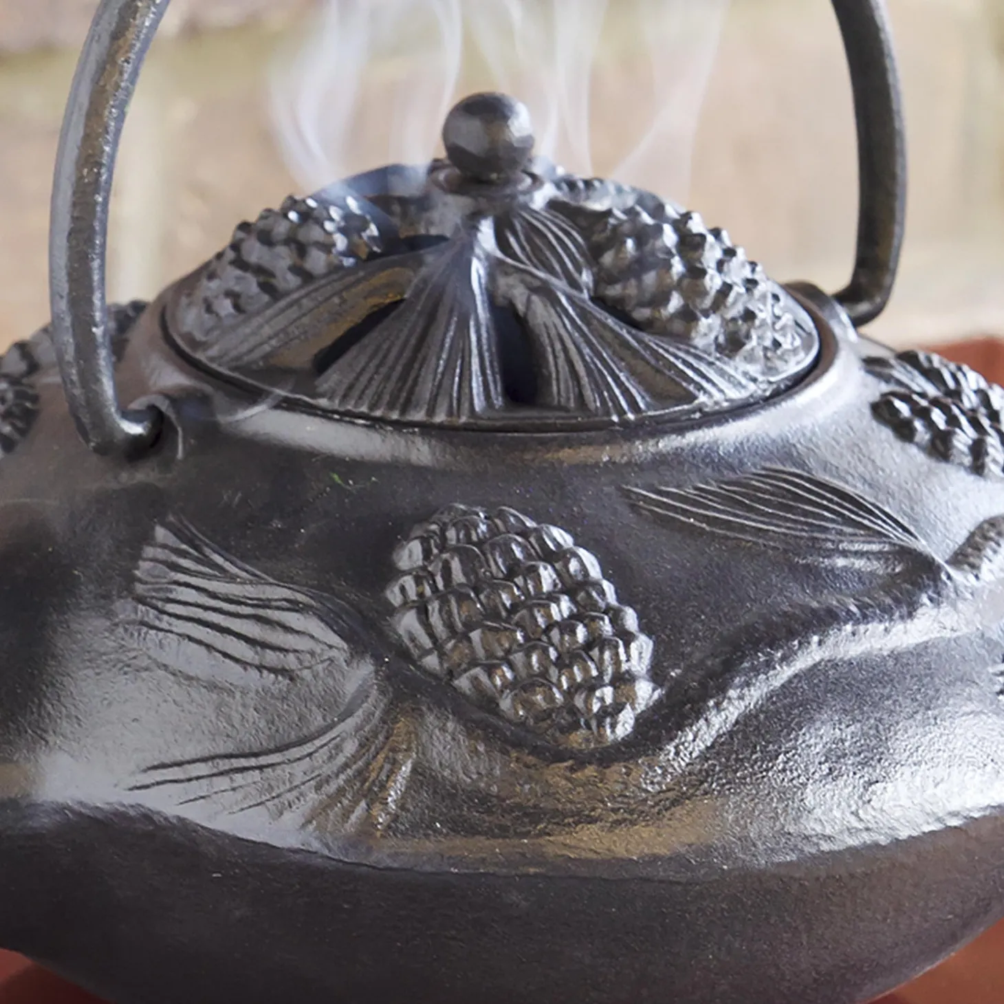 Woodstove Steamers>Plow & Hearth Cast Iron Wood Stove Kettle Steamer with Pine Cone Design Black