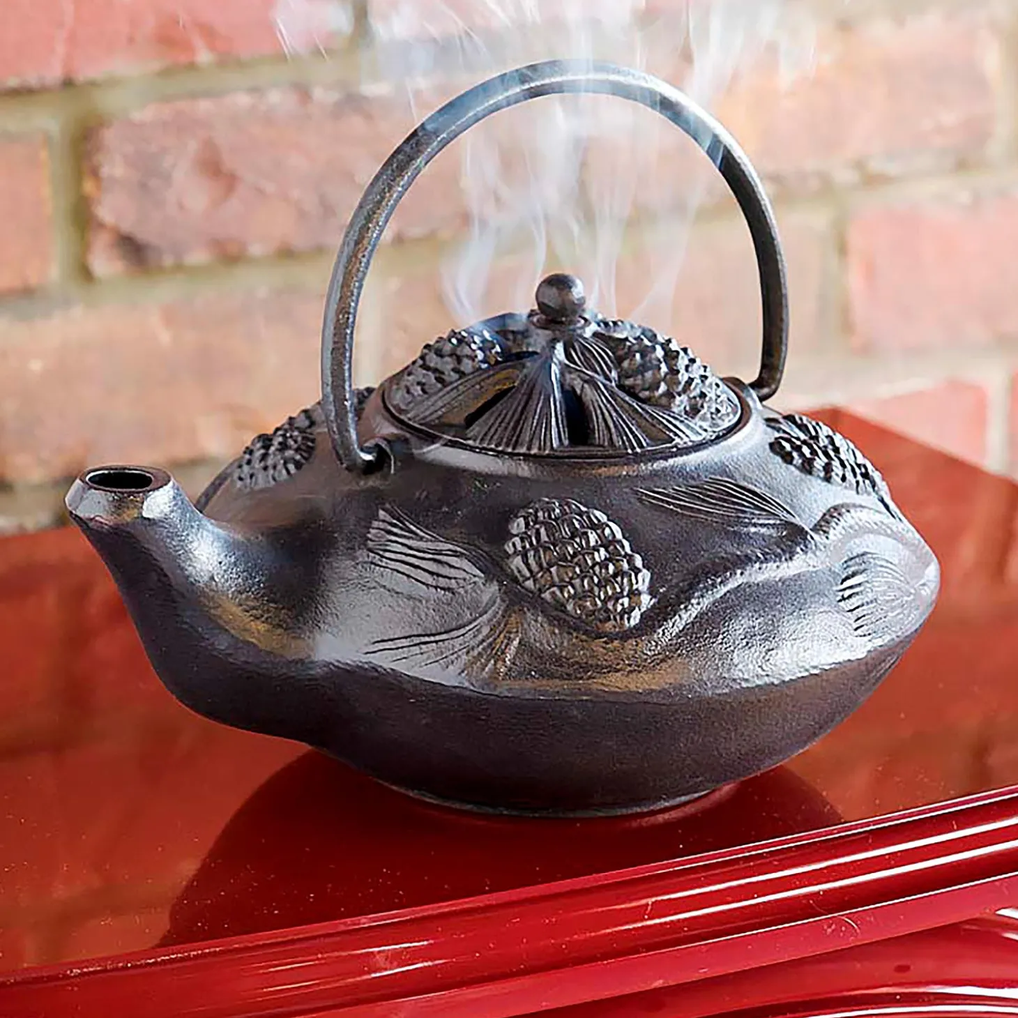 Woodstove Steamers>Plow & Hearth Cast Iron Wood Stove Kettle Steamer with Pine Cone Design Black
