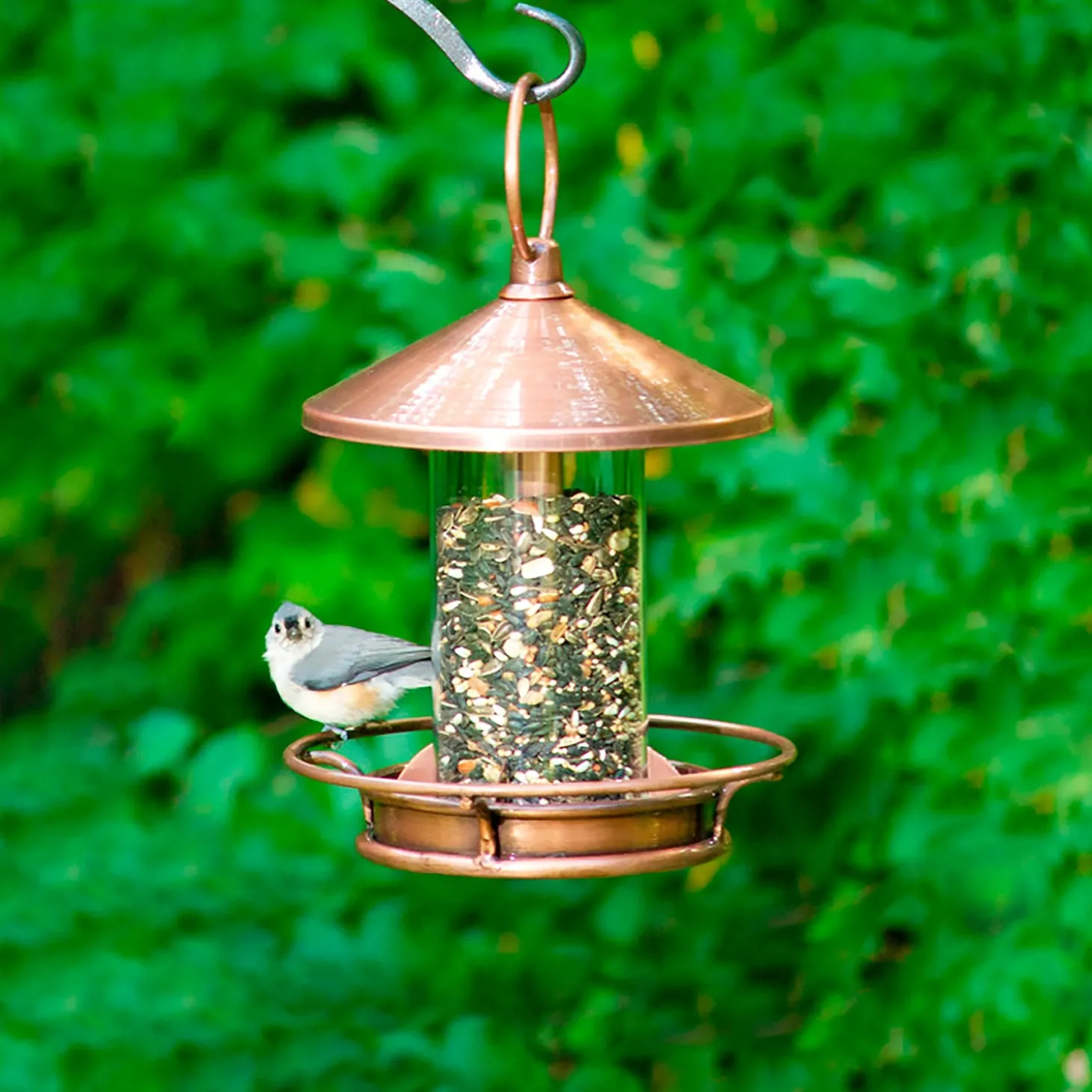 Bird Feeders>Plow & Hearth Classic Cylinder Perch Bird Feeder in Antiqued and Plexiglass Copper