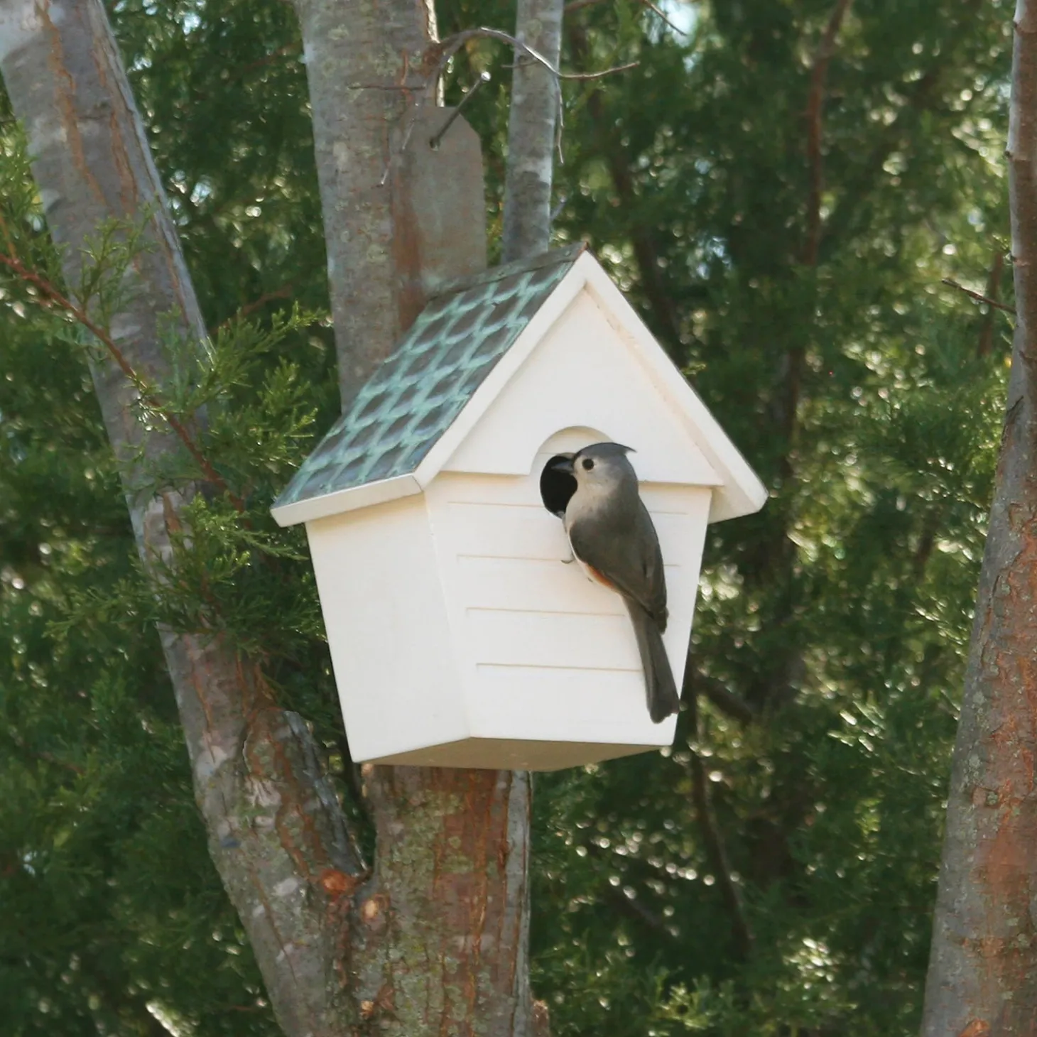 Birdhouses>Plow & Hearth Hardwood Hanging Cottage-Style Birdhouse with Verdigris Copper Roof