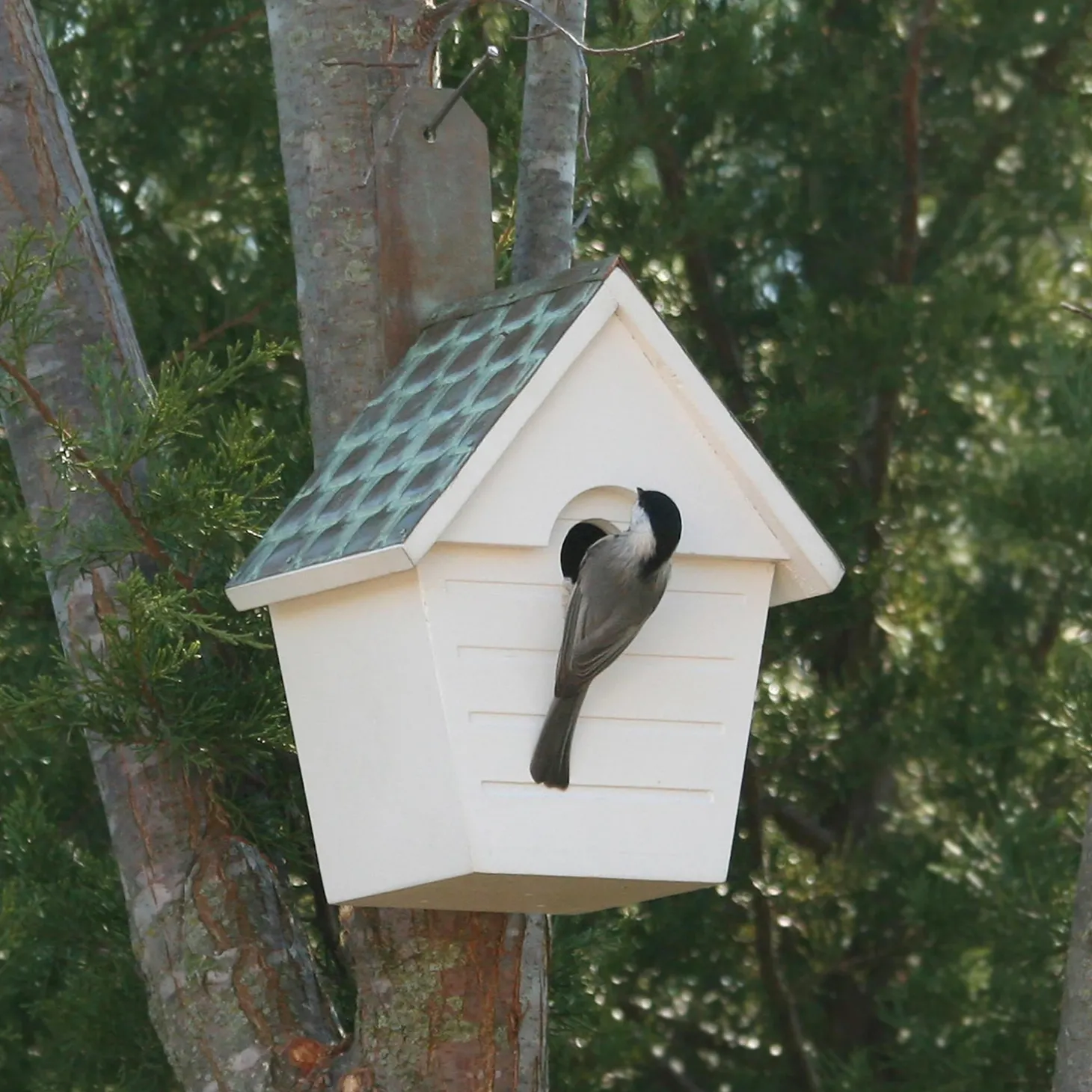 Birdhouses>Plow & Hearth Hardwood Hanging Cottage-Style Birdhouse with Verdigris Copper Roof