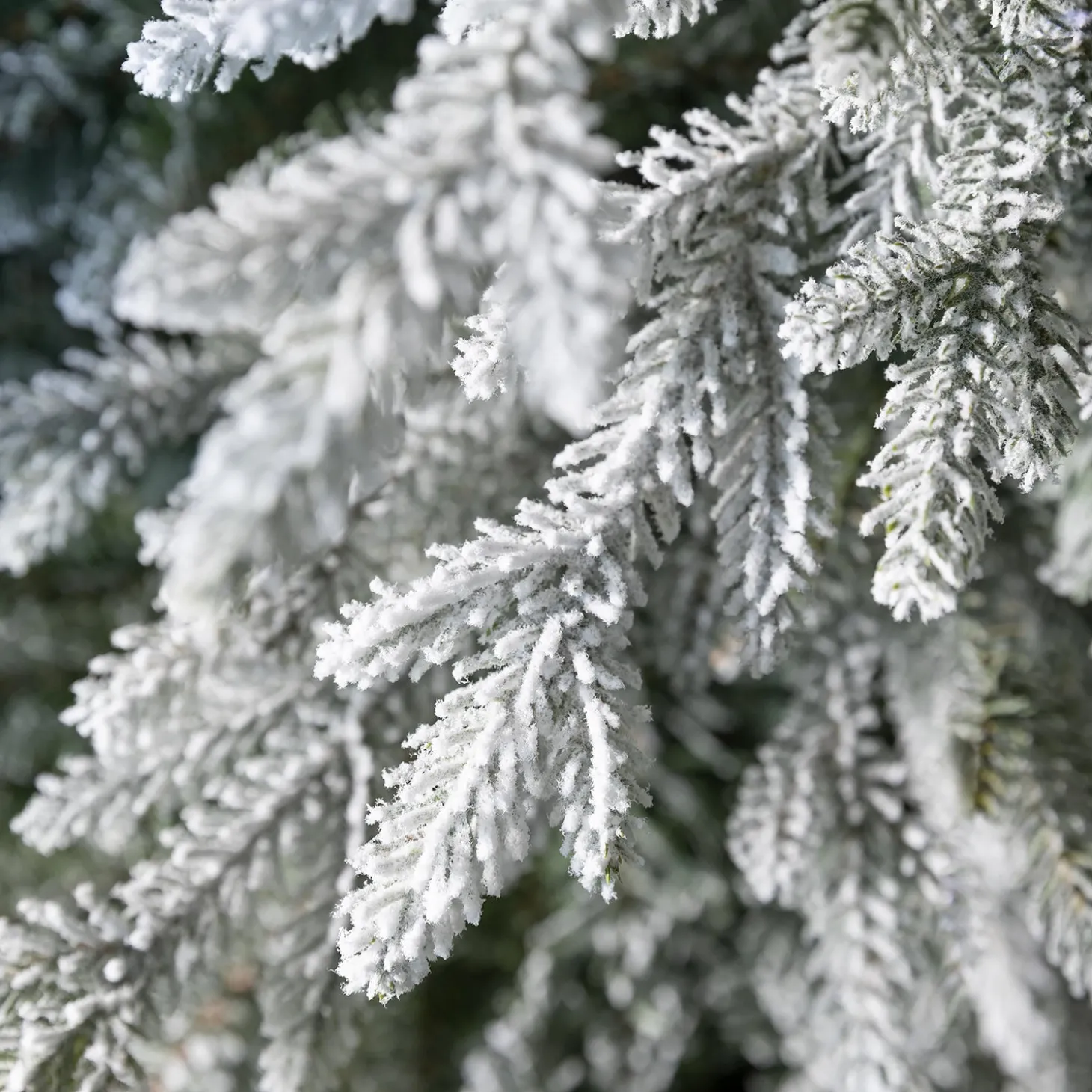 Lighted Trees & Garlands>Plow & Hearth Indoor/Outdoor Flocked Roanoke Spruce Potted Tree with Warm White LEDs