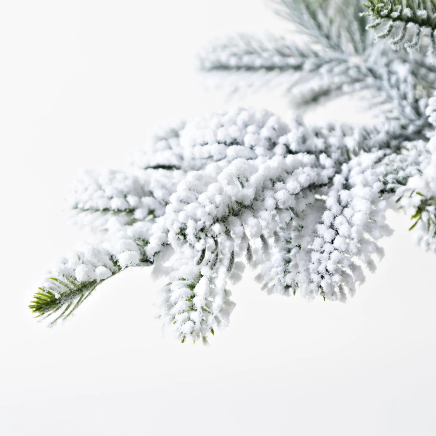 Lighted Trees & Garlands>Plow & Hearth 7' Monte Rosa Flocked Alpine Fir Christmas Tree with 200 Warm White LEDs
