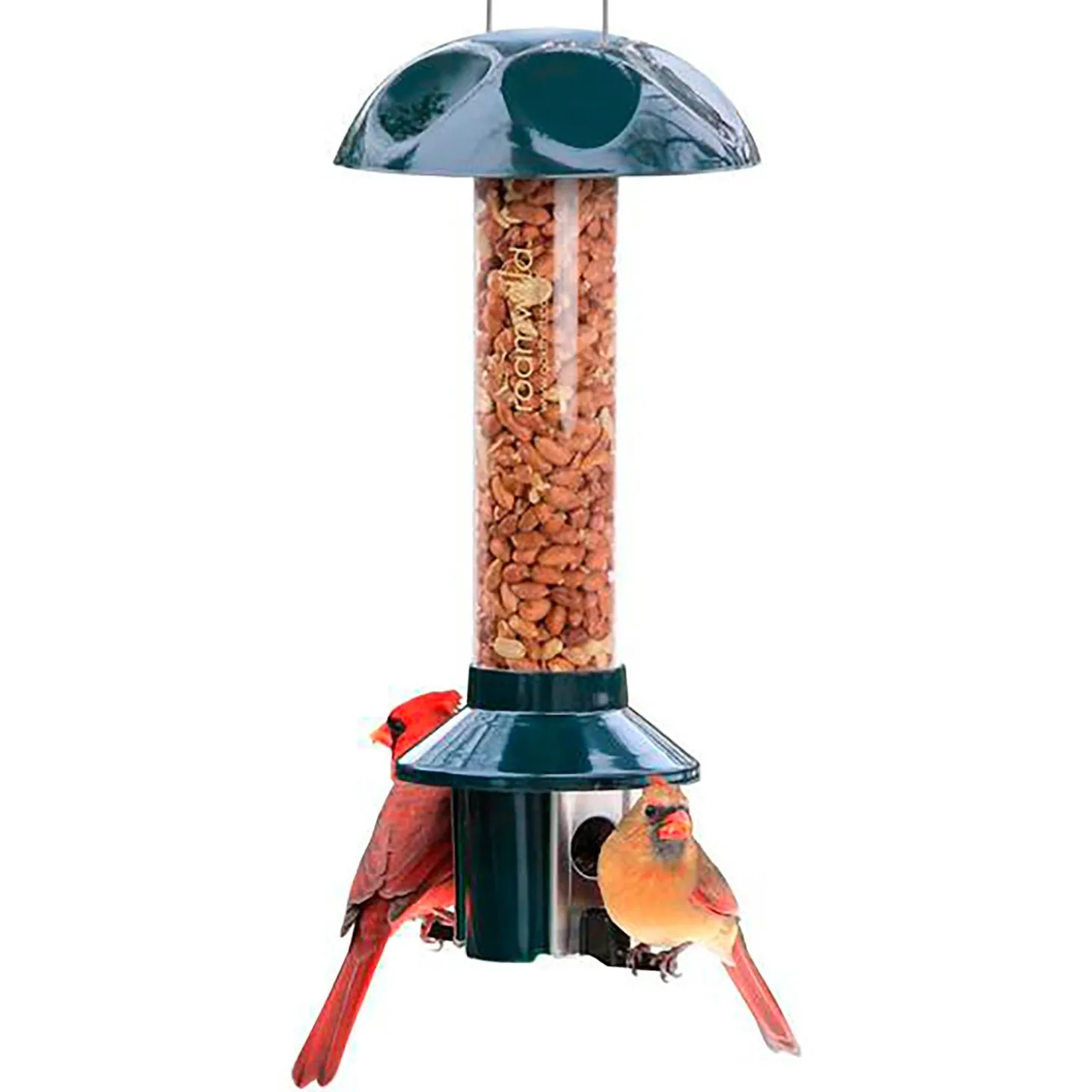 Bird Feeders>Plow & Hearth PestOff Bird Feeder For Peanuts, Dried Meal Worms, Suet And Wild Bird Nuggets