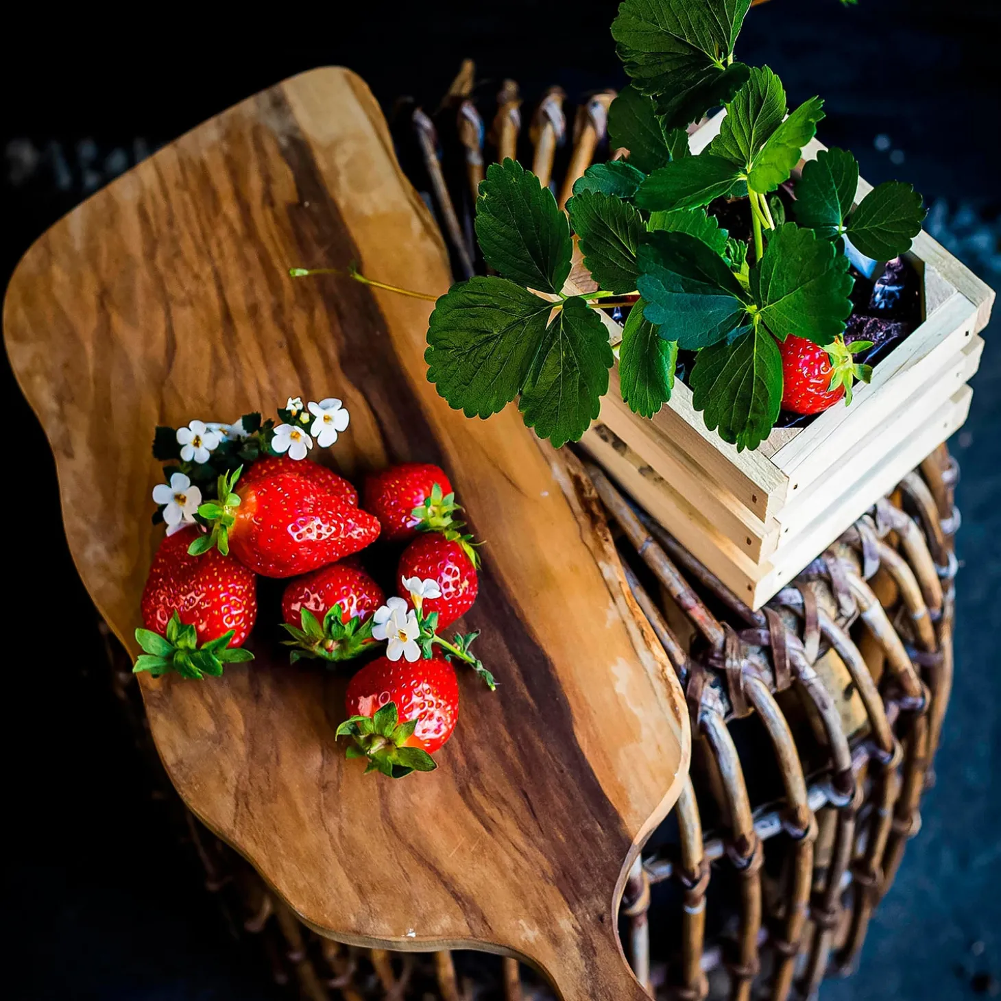 Bulb Gardens & Florals>Plow & Hearth Strawberry Grow Kit in Wooden Crate
